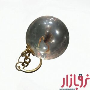جاکلیدی گوی حشرات